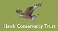 The Hawk Conservancy Trust