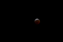 Lunar Eclipse